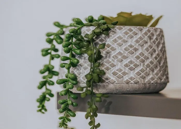 Dimora Dell'artista Lecce